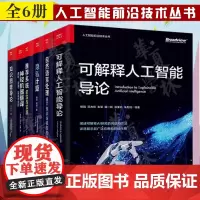 人工智能前沿技术丛书全6册 可解释人工智能导论 隐私计算 知识图谱导论 神经机器翻译 自然语言处理 系统前沿与实践