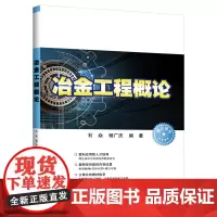 冶金工程概论 石焱、杨广庆 著 轻工业/手工业大中专 正版图书籍 清华大学出版社