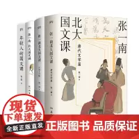 张一南北大国文课系列(共4册)唐代文学篇 年轻人的国文课 北大国文课 六朝文学篇 传统文化 历史文化 浦睿文化 正版