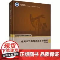 非洲油气勘探开发形势图集(精)/全球油气勘探开发图集系列