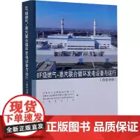 6F级燃气-蒸汽联合循环发电设备与运行(电仪分册)