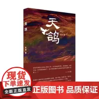 天鸽 意料之外情理之中 窥见更为广阔的世道人心