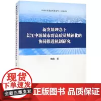 新发展理念下长江中游城市群高质量城镇化的协同推进机制研究 熊曦 著 经济理论经管、励志 正版图书籍