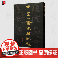 中国石刻书法精粹 中皇山深密解脱 赖非 碑刻字帖临摹临习摩崖石刻大字榜书篆隶魏碑南北朝隋书法艺术研究 山东美术出版社