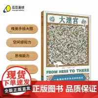 正版丨《大迷宫》附可擦笔 儿童绘本5-6-7-8-9益智游戏 从易到难不同主题迷宫 培养专注力空间感知力逻辑思维抗挫能力