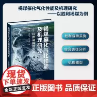 褐煤催化气化性能及机理研究——以胜利褐煤为例
