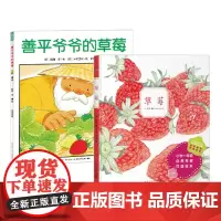 草莓系列绘本:全2册(善平爷爷的草莓+草莓)