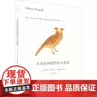 天真的和感伤的小说家 (土)奥尔罕·帕慕克 著 彭发胜 译 外国小说文学 正版图书籍 上海人民出版社