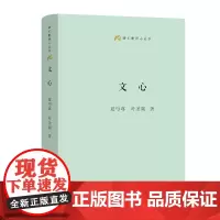 文心(语文教师小丛书)
