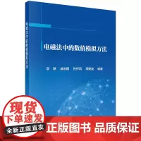 电磁法中的数值模拟方法 自然科学 科学出版社 正版书籍