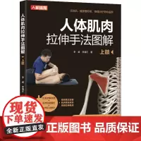 人体肌肉拉伸手法图解 上肢 李威,李清正 著 体育运动(新)生活 正版图书籍 人民邮电出版社