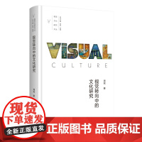 视觉转向中的文化研究(视觉文化研究文丛)