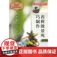 苔藓微景观巧制作