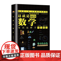 这就是数学全6册数字与运算图形与几何统计与概率探索规律可以这样学加减乘除法每天学一点小学数学不再难培养孩子数学思维能力