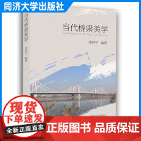 当代桥梁美学 徐利平 桥梁美学理论与实践 本书可供桥梁专业及相关工程技术人员参考 同济大学出版社