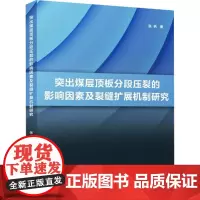 突出煤层顶板分段压裂的影响因素及裂缝扩展机制研究 张帆 著 交通/运输专业科技 正版图书籍 冶金工业出版社