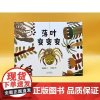 落叶变变变——精装 4岁以上 秋天落叶拼贴绘本 变化的科普 不变的友情 生命自然 艺术成长 睡前故事 蒲蒲兰绘本馆店