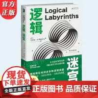 正版 逻辑迷宫 雷蒙德·M.斯穆里安著 趣味横生地讲述多种逻辑谜题的故事书 一阶逻辑科普书 哲学数理逻辑思维方法书