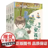 李牧雨儿童植物陪伴小说(共四册) 妈妈的攻瑰路 等待一朵花开 疲惫的橄榄枝 谁说荨麻不说话 感知自然的能力就是生命力