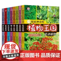 探索神奇的植物王国[共8册] 正版 儿童 6-12岁植物书籍植物家族 植物王国 少年儿童科普大全彩图版 小学生课外书阅读