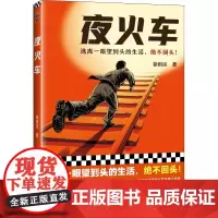 夜火车 徐则臣 著 其它小说文学 正版图书籍 江苏凤凰文艺出版社