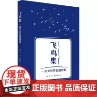 飞鸟集 一段天边的浪漫故事 满全 著 海日寒 译 文学理论/文学评论与研究文学 正版图书籍 东方出版社