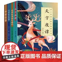中小学语文拓展阅读丛书第二辑全套4册 爱丽丝漫游奇遇记 天方夜谭 列那狐的故事 绿野仙踪 世界经典文学名著青少年版儿童读