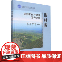 吉林省铅锌矿矿产资源潜力评价 王信 等 编 地质学专业科技 正版图书籍 中国地质大学出版社