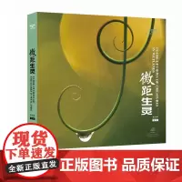 微距生灵 湿地光影丛书 袁明辉 1888 中国林业出版社