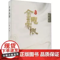 金魂界限 阿米 著 现代/当代文学文学 正版图书籍 北方文艺出版社
