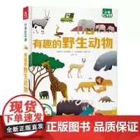 小手忙不停:有趣的野生动物