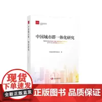 中国城市群一体化研究