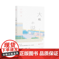 新民说 大概小说 小安/著 女性 当代文学 长篇小说 四川方言 对话体 婚姻 疾病 家庭 梦境 广西师范大学出版社