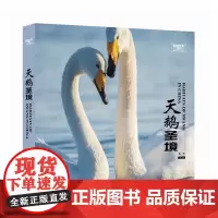 天鹅圣境 崔林 1890 湿地光影丛书 中国林业出版社