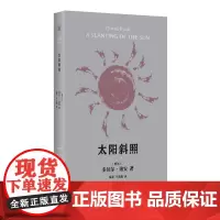 太阳斜照(多纳尔·瑞安作品)