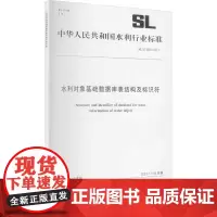 水利对象基础数据库表结构及标识符 SL/T 809-2021 中华人民共和国水利部 标准专业科技 正版图书籍 中国水利水