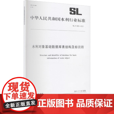 水利对象基础数据库表结构及标识符 SL/T 809-2021 中华人民共和国水利部 标准专业科技 正版图书籍 中国水利水