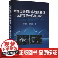 大红山铁铜矿床地质特征及矿体定位机制研究 金廷福,李佑国 著 矿业技术专业科技 正版图书籍 冶金工业出版社
