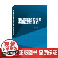 报业集团流程再造支撑体系的建构 王朝阳 著 社会科学其它经管、励志 正版图书籍 武汉大学出版社