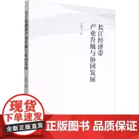 长江经济带产业升级与协同发展 王燕飞 著 中国经济/中国经济史经管、励志 正版图书籍 中国社会科学出版社