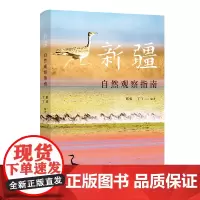 新疆自然观察指南 自然观察丛书 邢睿 丫丫 编著 商务印书馆