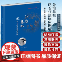 [出版社店]正版 外治鼻祖 砭石疗法临床图解 传统医学宝库丛书 砭石临证疗法 高俊红等 中医古籍出版社9787515