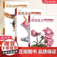 彩铅基础教程一本通花卉美食动物 2022一线美誉