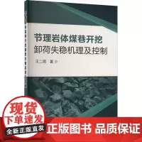 节理岩体煤巷开挖卸荷失稳机理及控制 王二雨 著 矿业技术专业科技 正版图书籍 冶金工业出版社