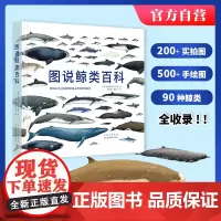图说鲸类百科 珍稀濒危海洋哺乳动物鲸类少儿百科全书