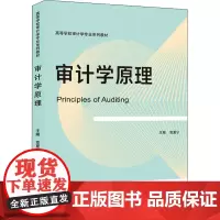 审计学原理 党夏宁 编 财政/货币/税收大中专 正版图书籍 武汉大学出版社