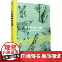 环球动物大拯救 一名兽医的诊疗记录 (英)乔纳森·克兰斯顿 著 刘海静 译 外国小说文学 正版图书籍 人民文学出版社