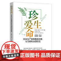 珍爱生命:安全生产事故隐患排查与习惯性违章防范