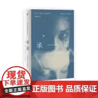 承诺 飞机盒保护 9787559853189 贝贝特 广西师范大学出版社 (南非) 达蒙•加尔格特 著 黄建树 译