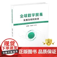 正版 全球数字贸易发展及规则变革 国际贸易电子商务研究书籍 科学技术文献出版社